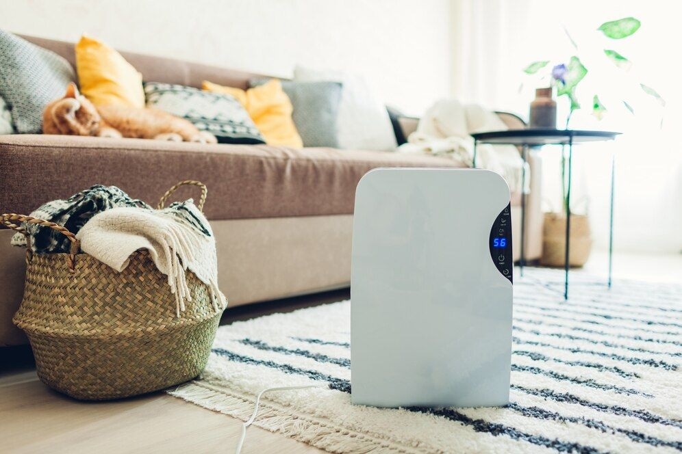 Air purifiers for home