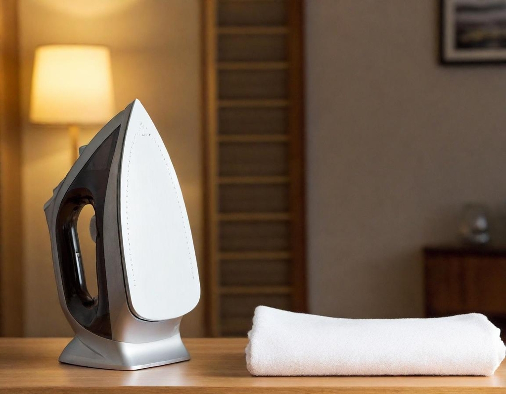 Best 1000W Electric Iron 