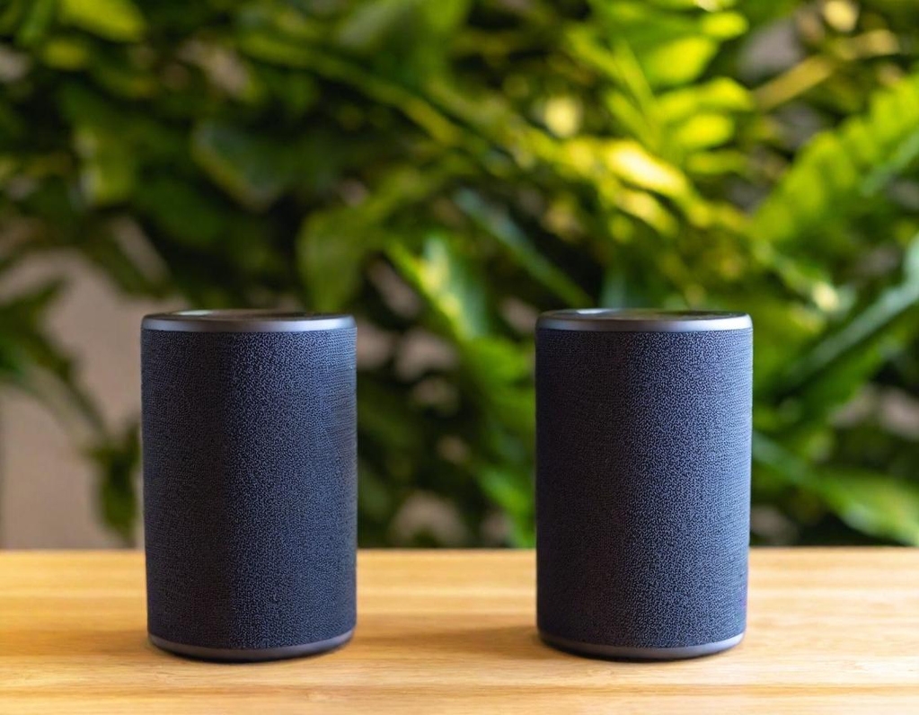 Philips Bluetooth Speakers